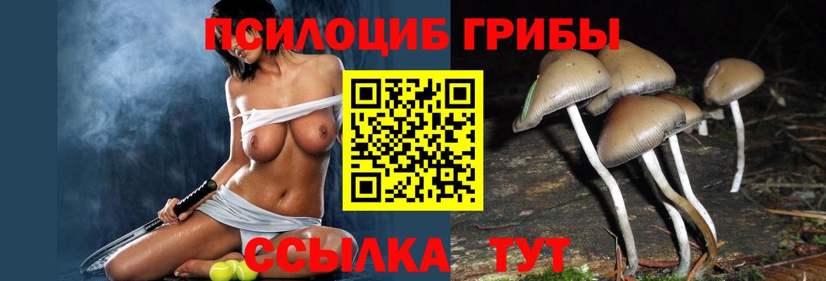 Белая Калитва  Псилоцибиновые грибы мицелий  Вход с VPN 